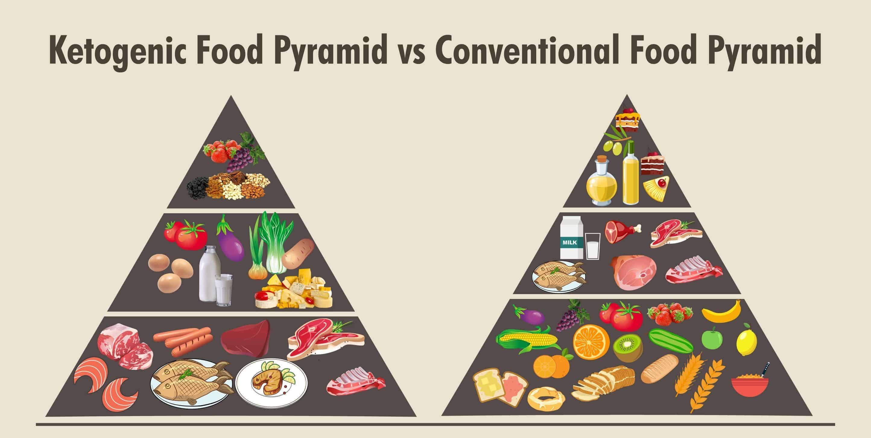 Ketogenic Food Pyramid Keto Diet Pyramid Nutrition Ketogenic Infographics Diagram Low