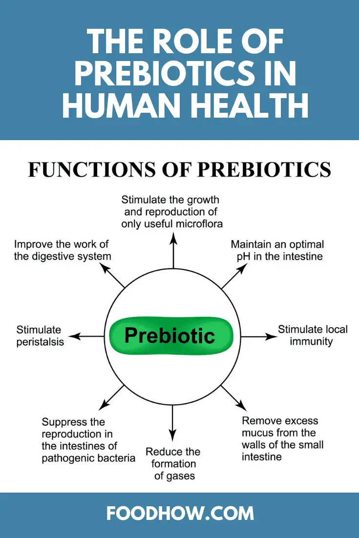 The Role of Prebiotics