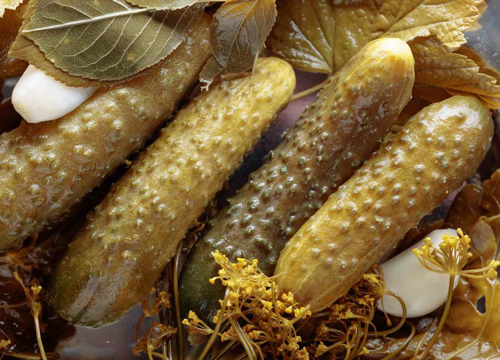 Homemade pickled cucumbers