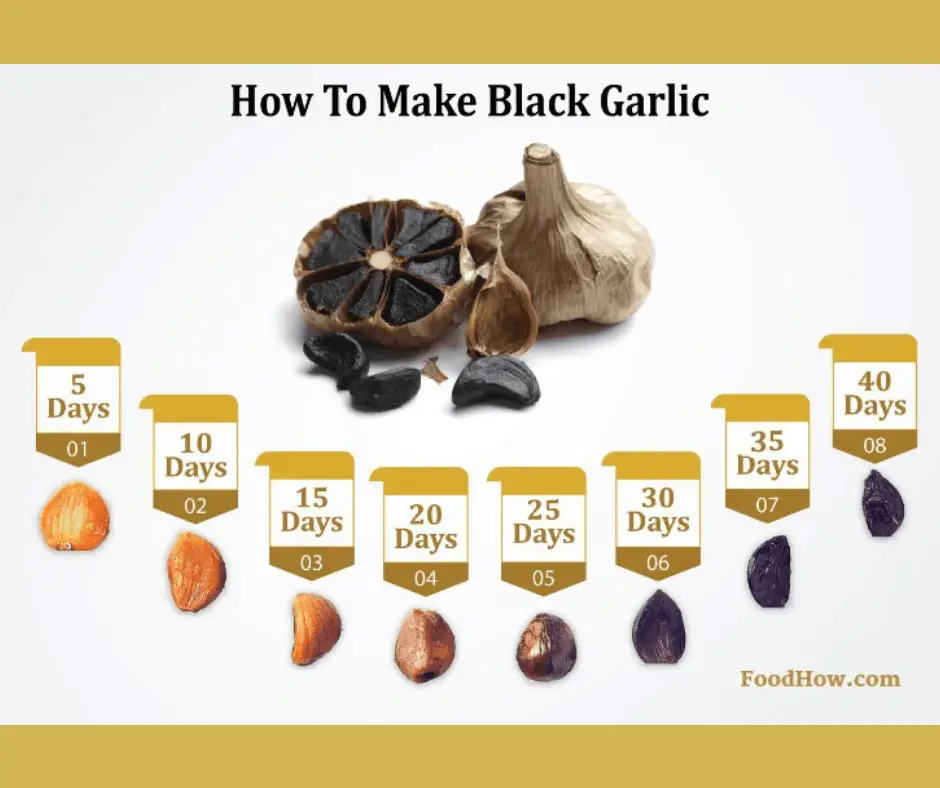 Chart for how to make black garlic 