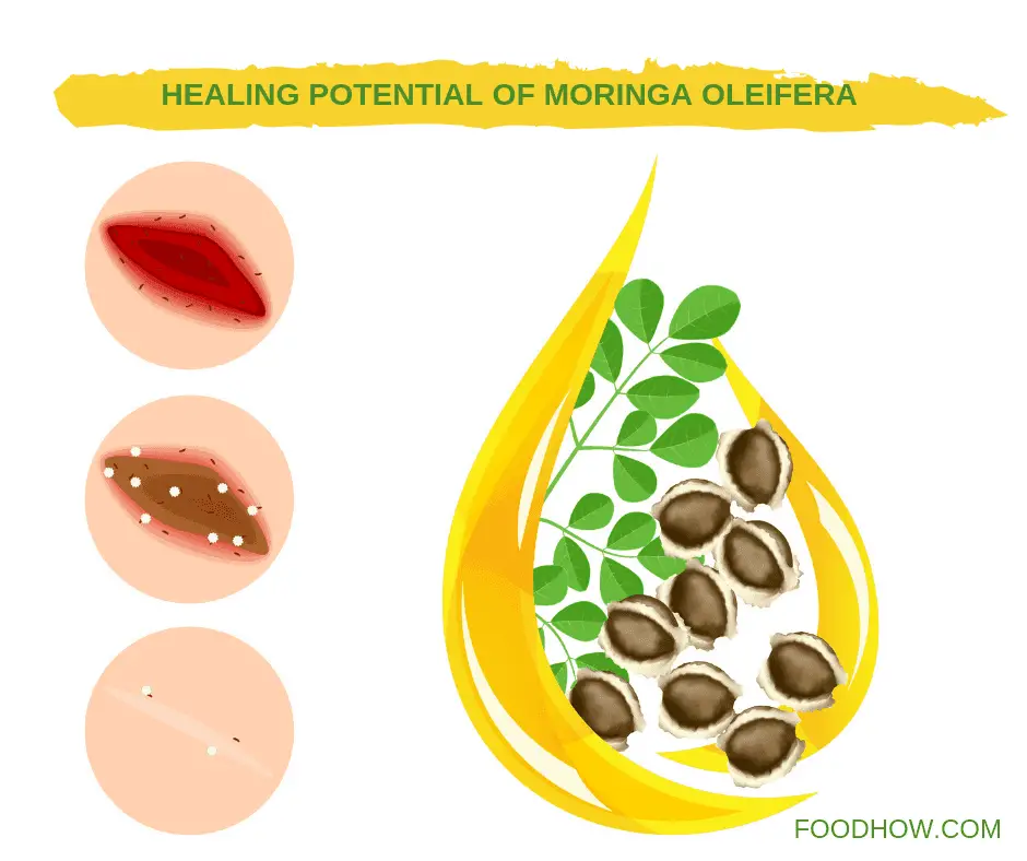 Seeds of Moringa