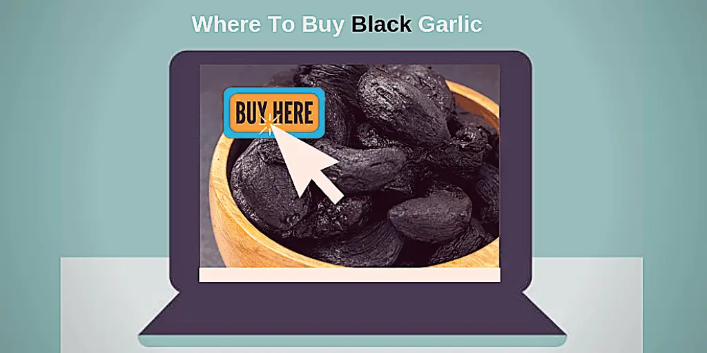 Peeled Gourmet Black Garlic Bulb