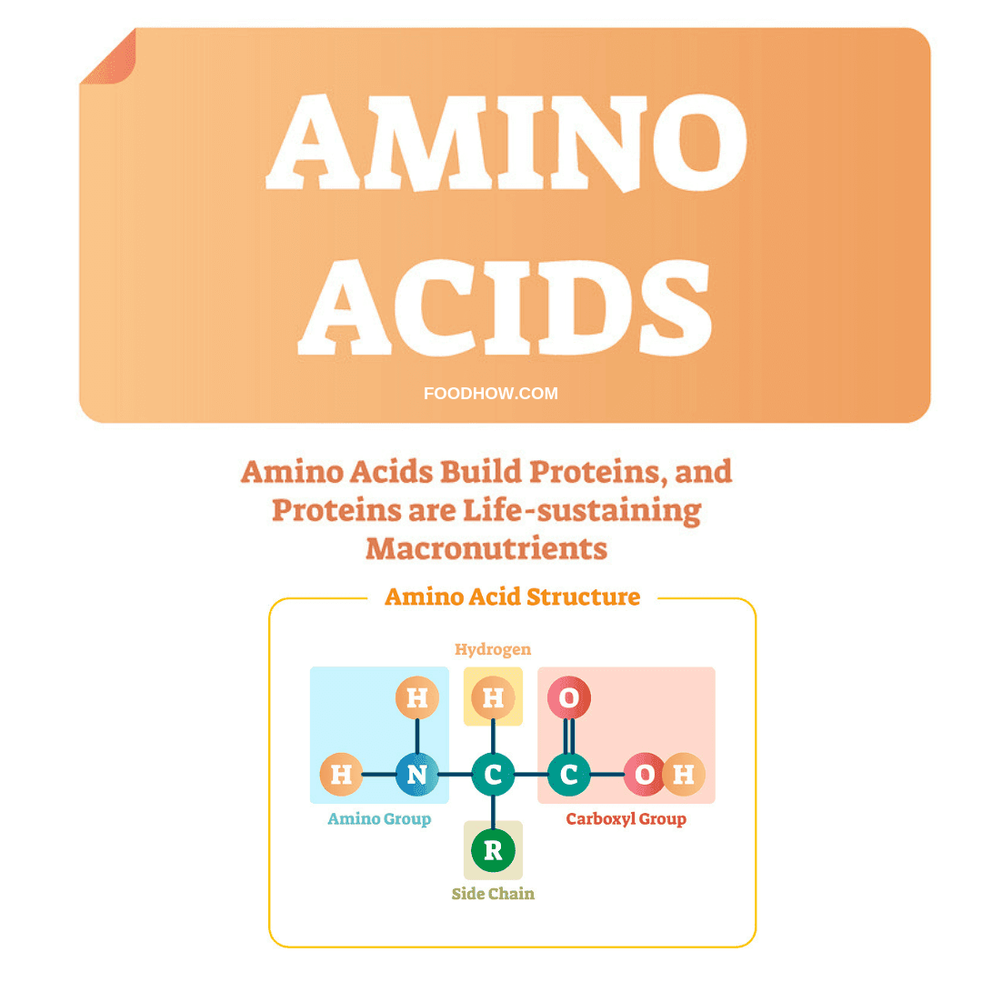 Amino acids structure