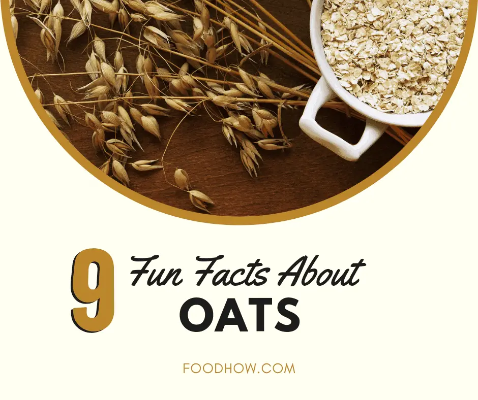 Oatmeal Fun Facts