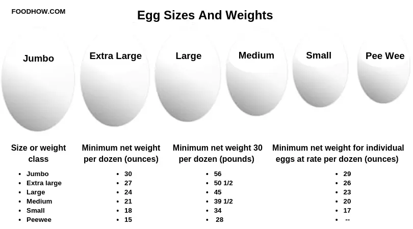 Guide to Egg Sizes and Weights