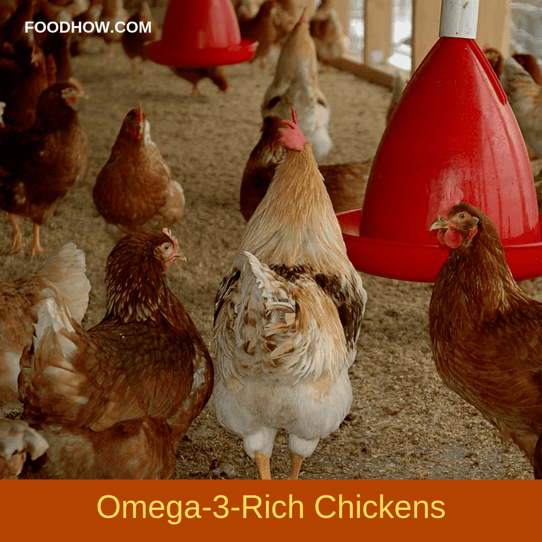 Raising Omega-3-Rich Chicken