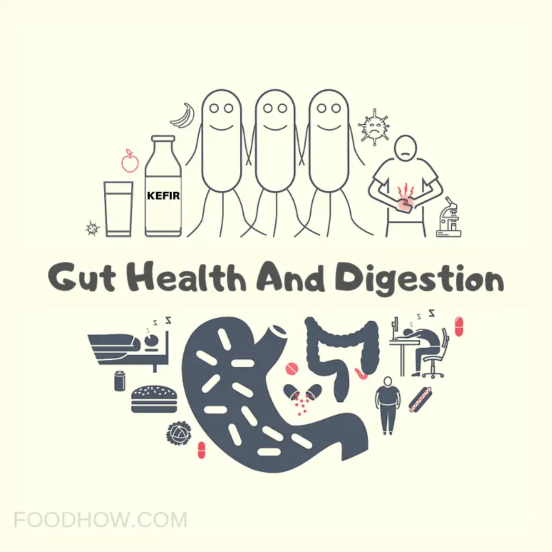 gut and digestion