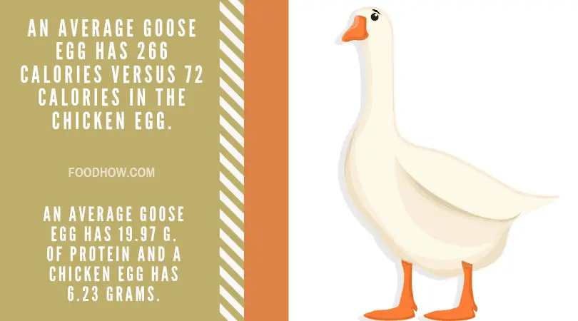 Goose