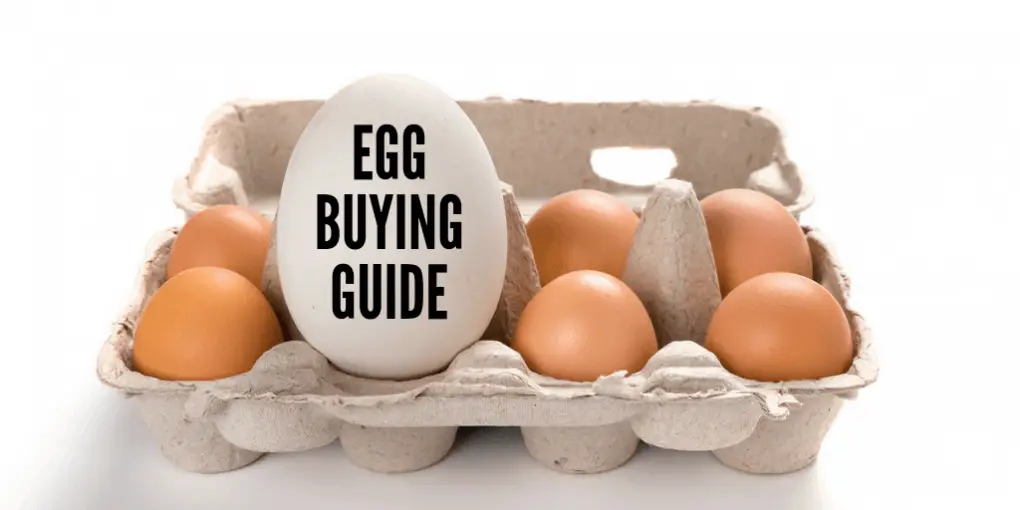 Which Eggs Are The Healthiest Buying And Cooking Guide