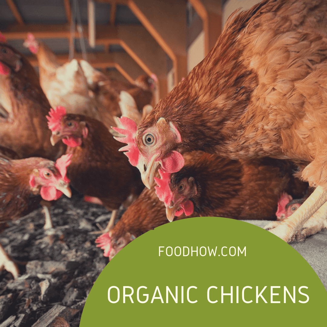 Organic chickens