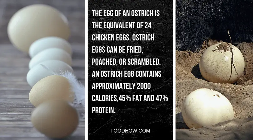 Ostrich eggs