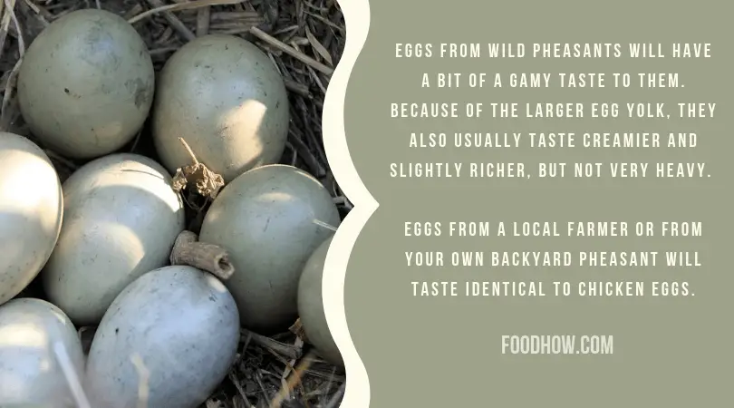 Pheasant eggs