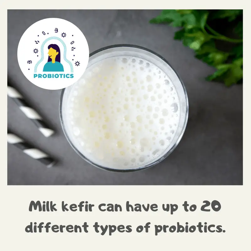 Kefir made using bacteria