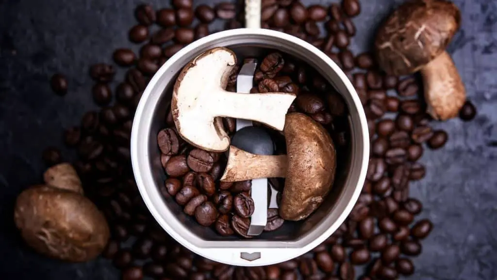 Mushroom Coffee Review — Why The Heck Would You Drink It?