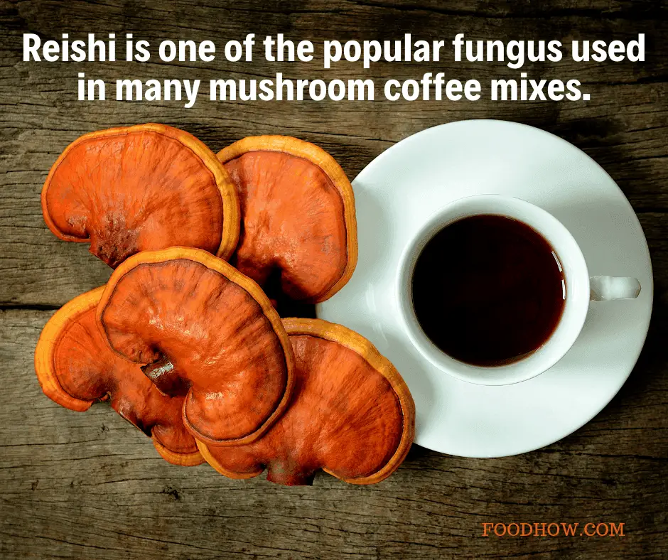 reishi fungi and cup of coffee