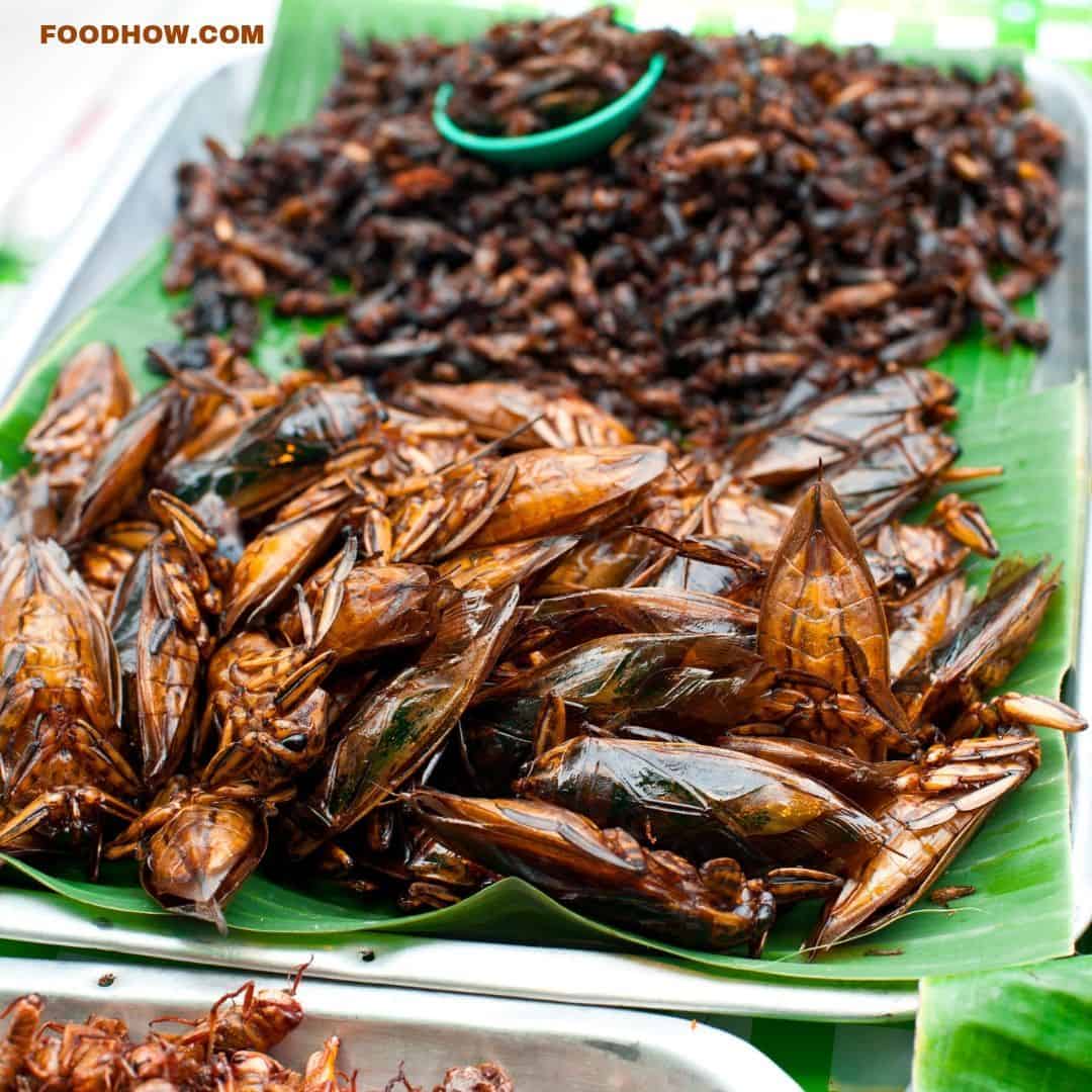 edible insects snacks