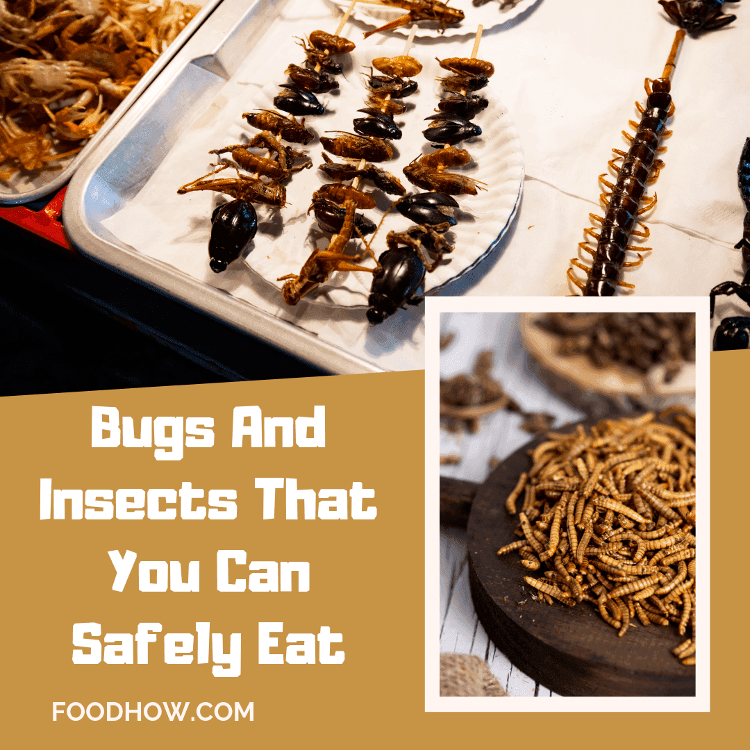 Edible bugs and worms