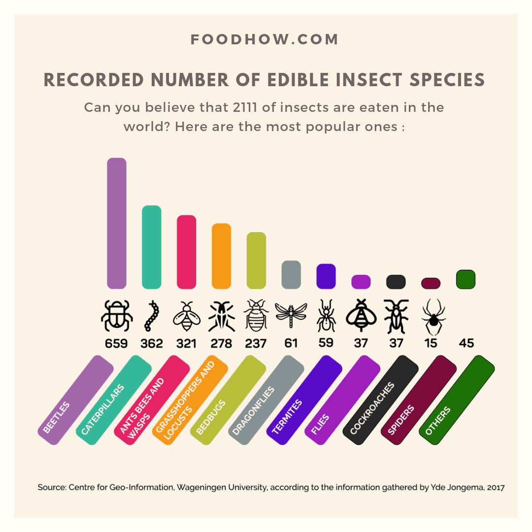 Edible insects in the world