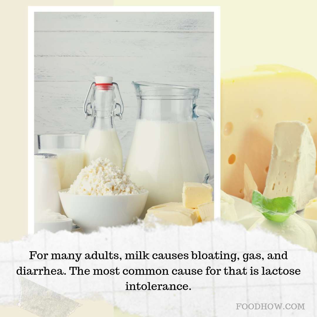 Dairy products 