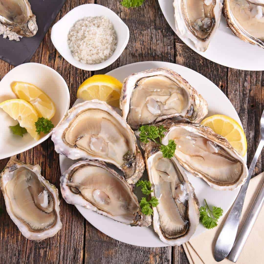 oysters