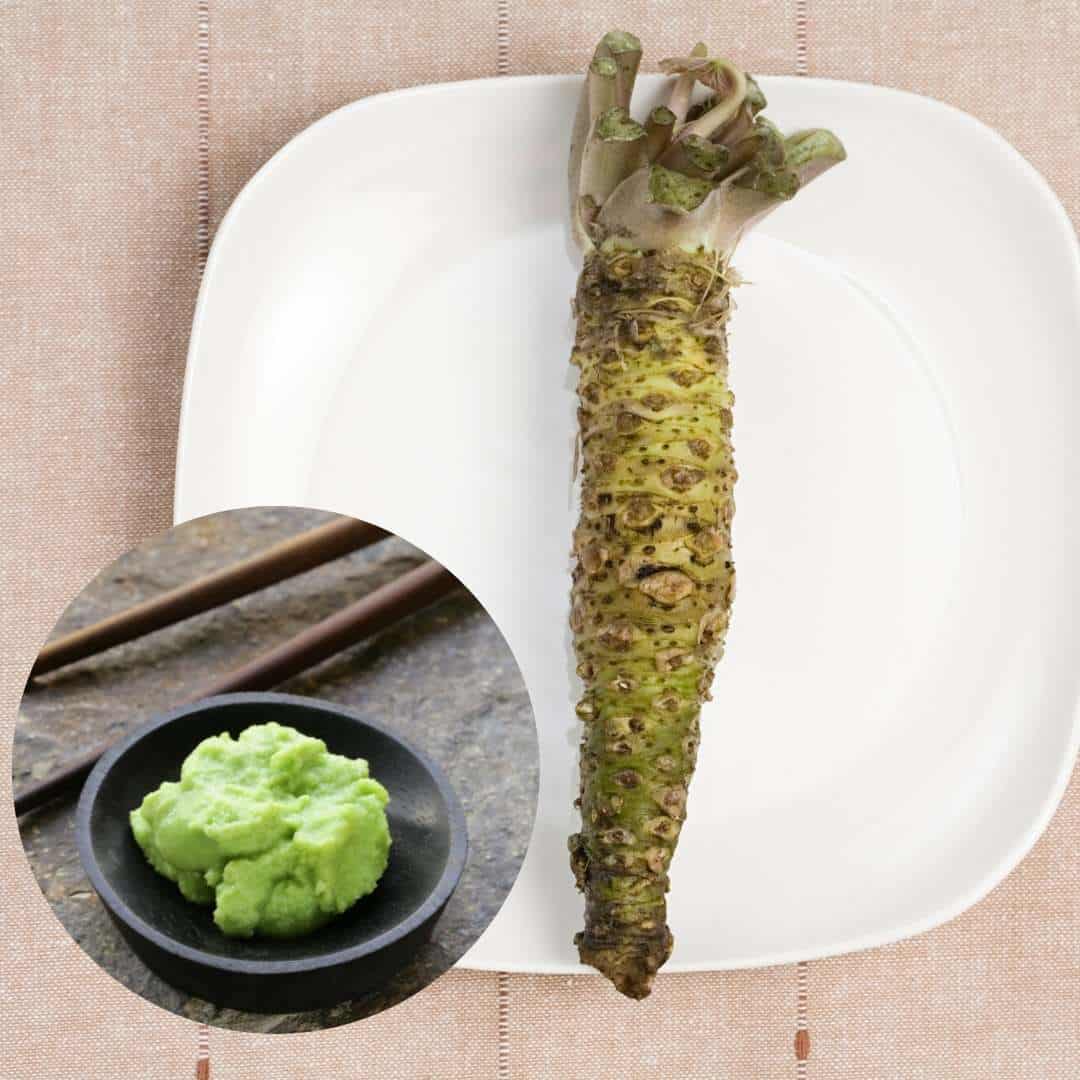 wasabi