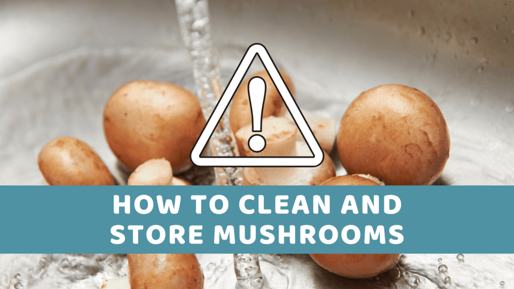 rinsing mushrooms with water