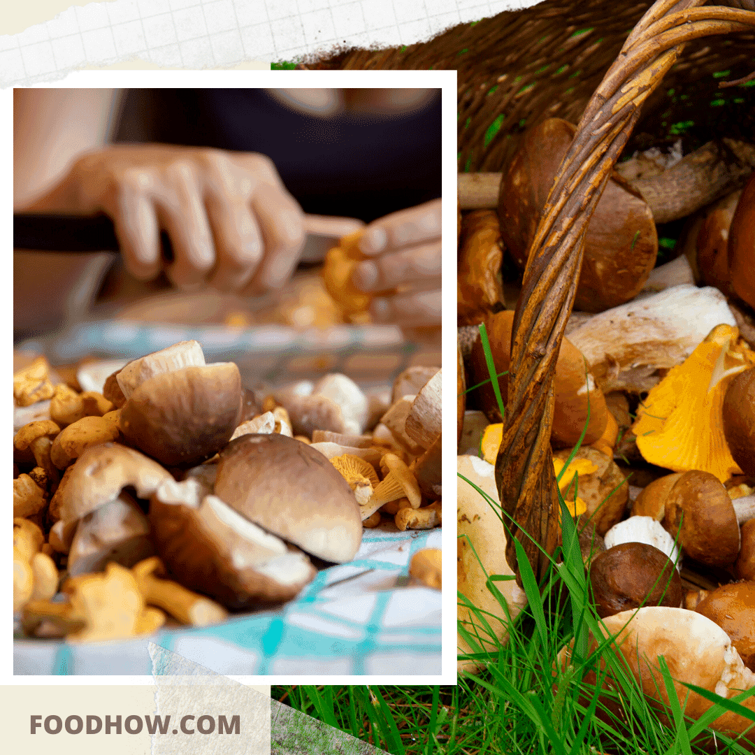 cleaning of wild mushrooms