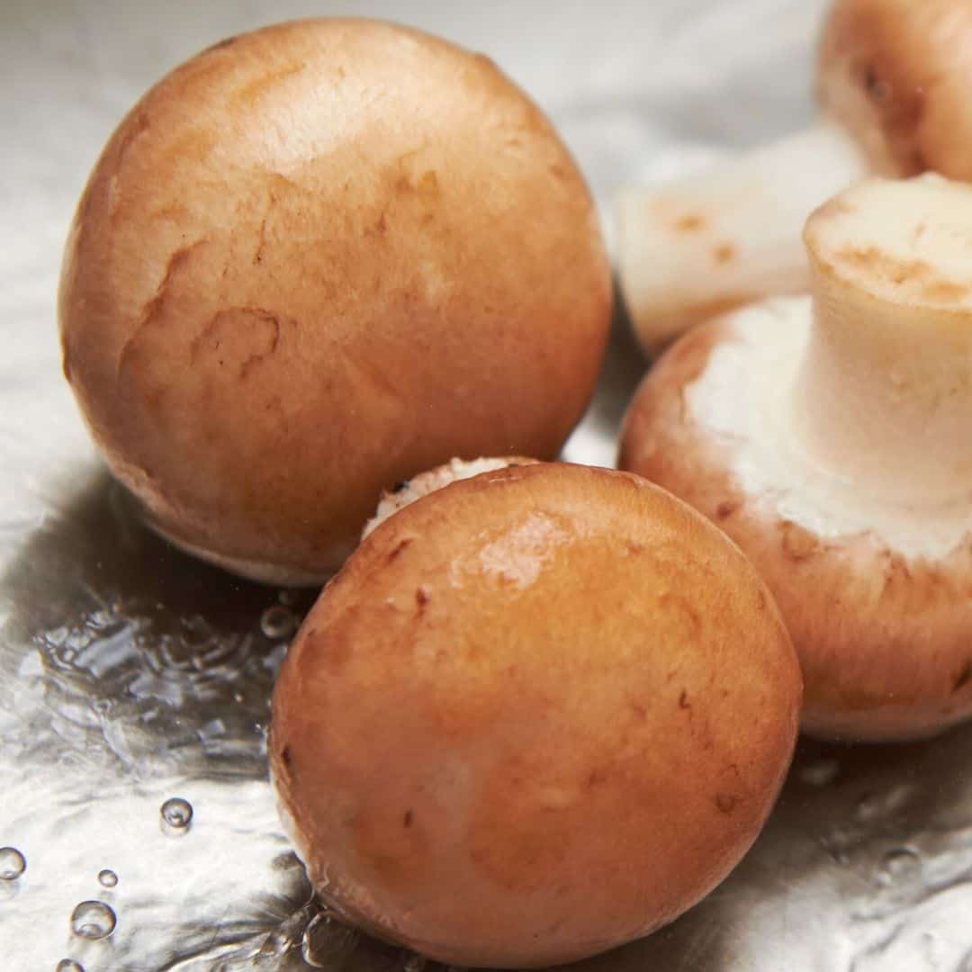 mushrooms in the kitchen sink