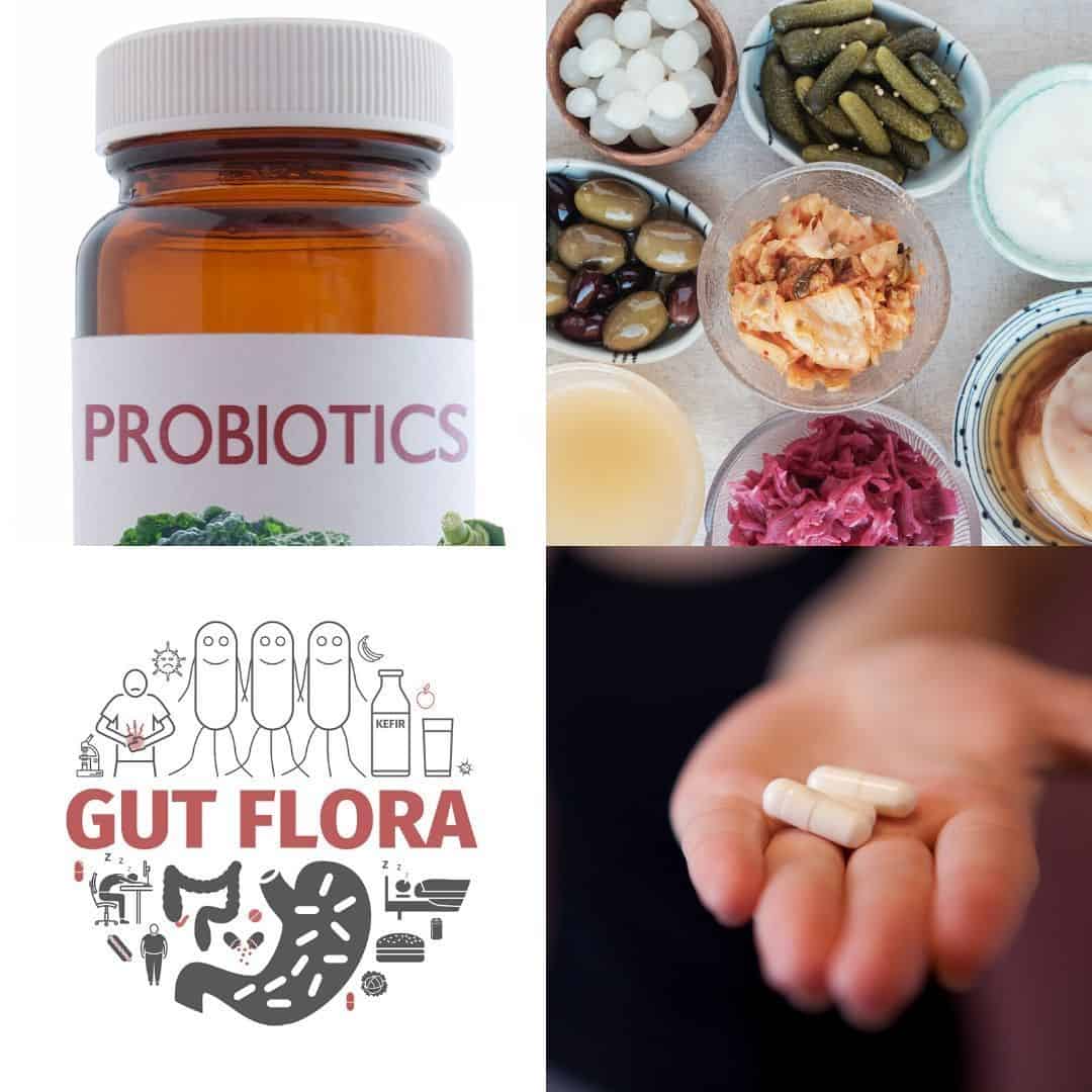 probiotics food and supplements