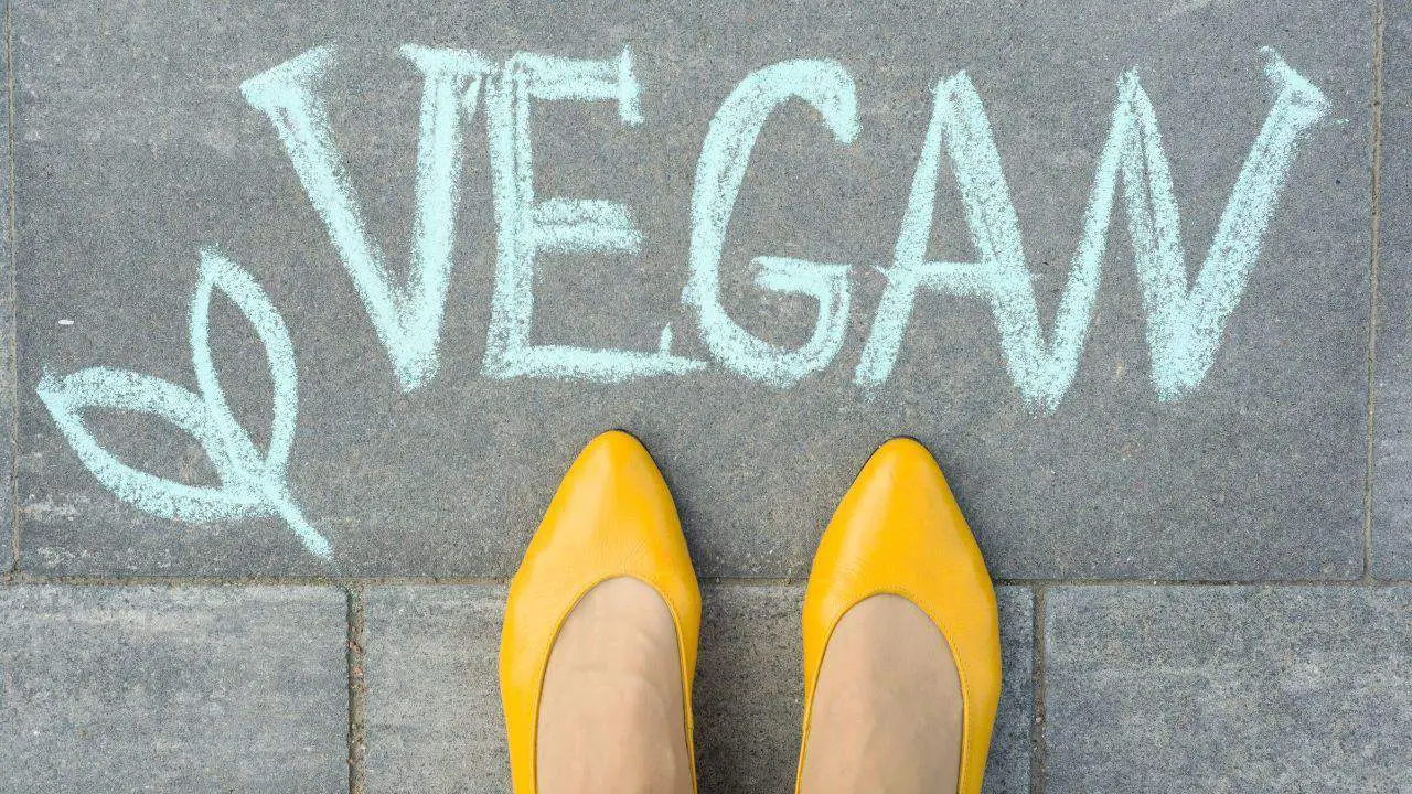 vegan written on the pavement