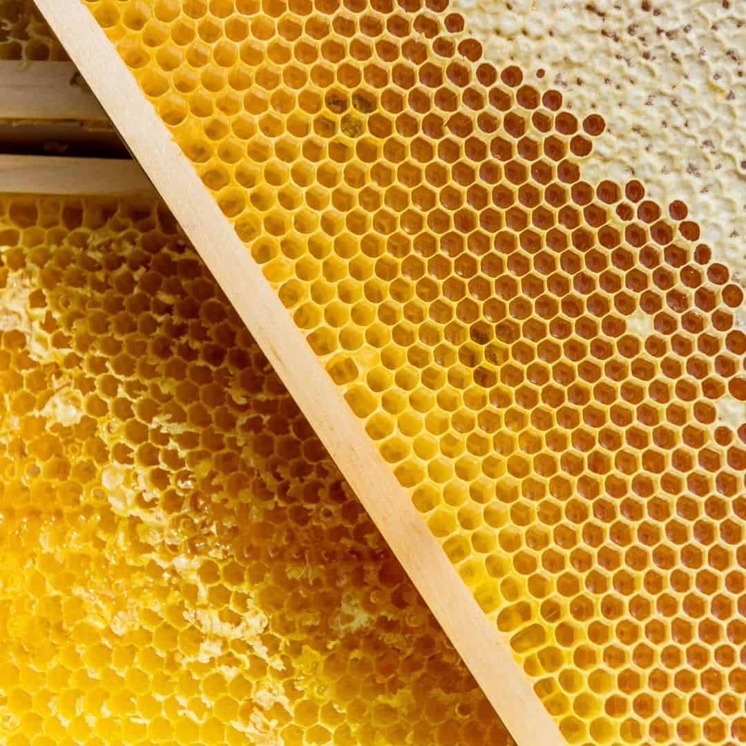 honeycomb