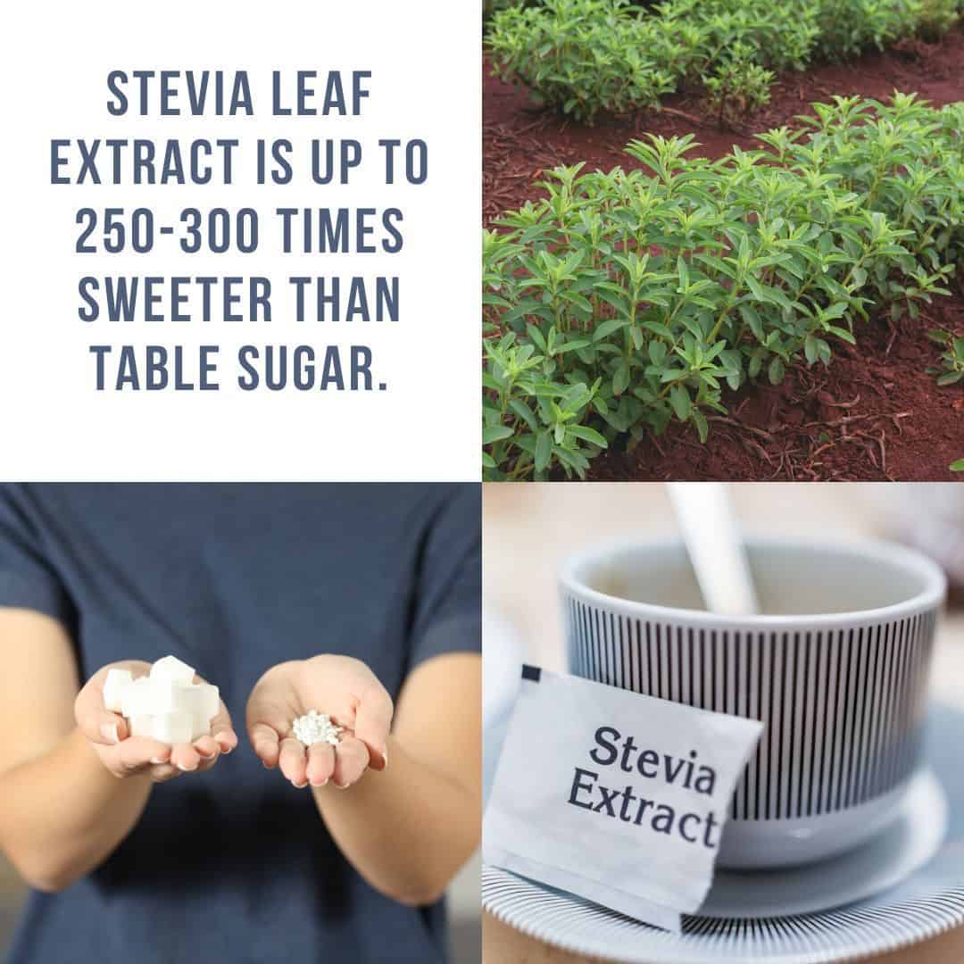 stevia leaf extract
