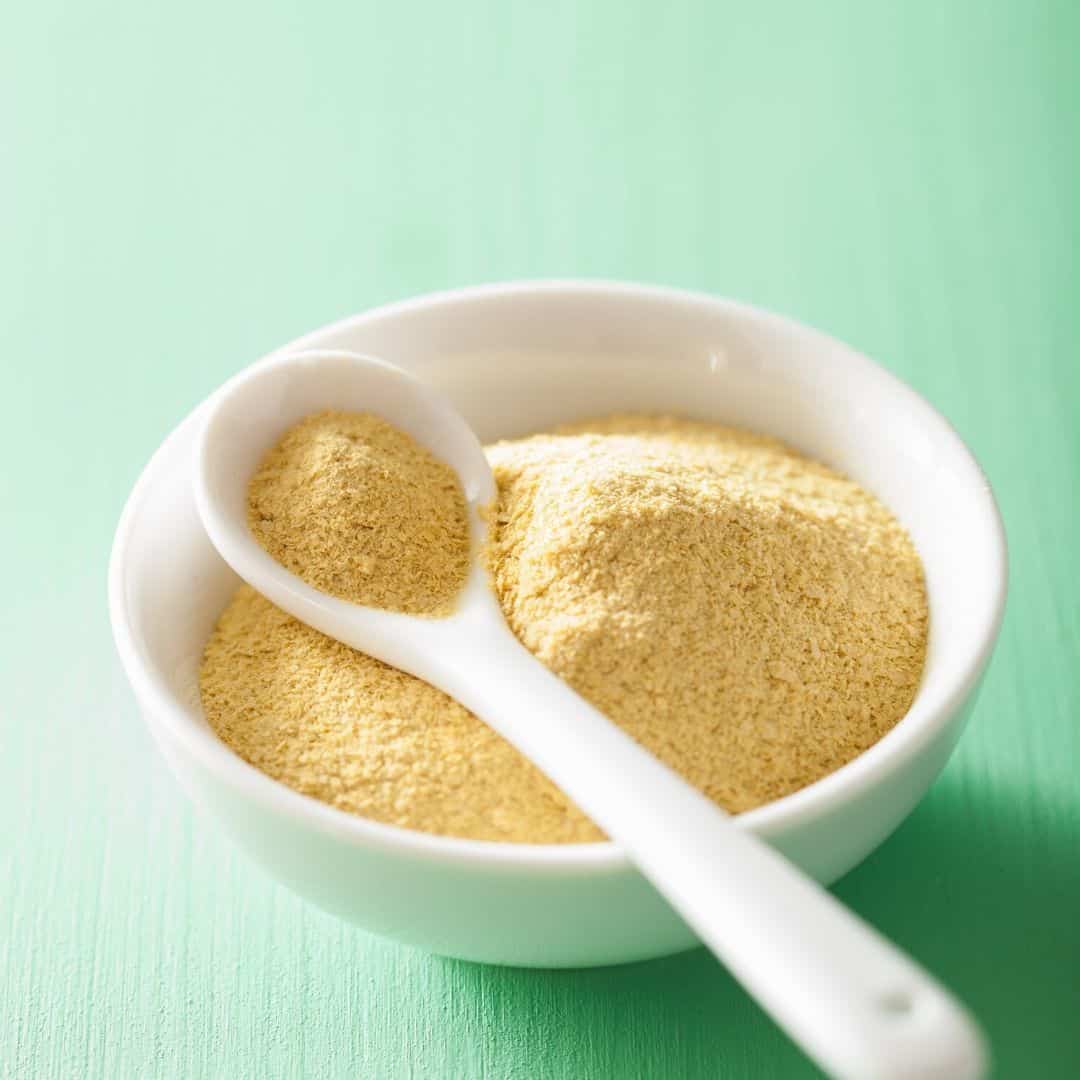 vegan nooch powder