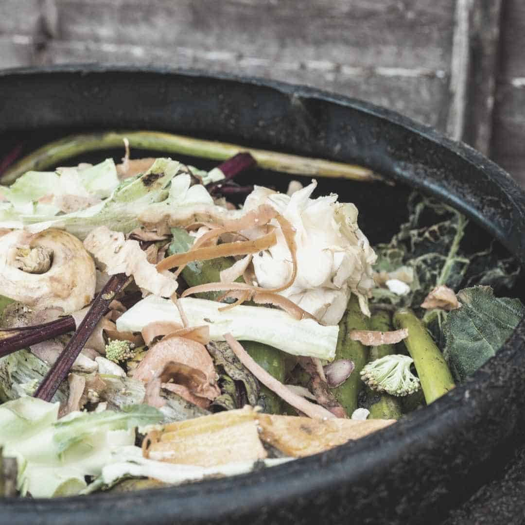 food compost bin