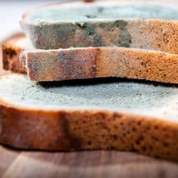 How Soon Do I Get Sick After Eating A Moldy Bread? This Will Happen...