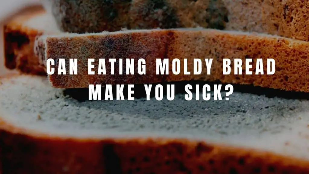 Can You Get Sick From Moldy Bread