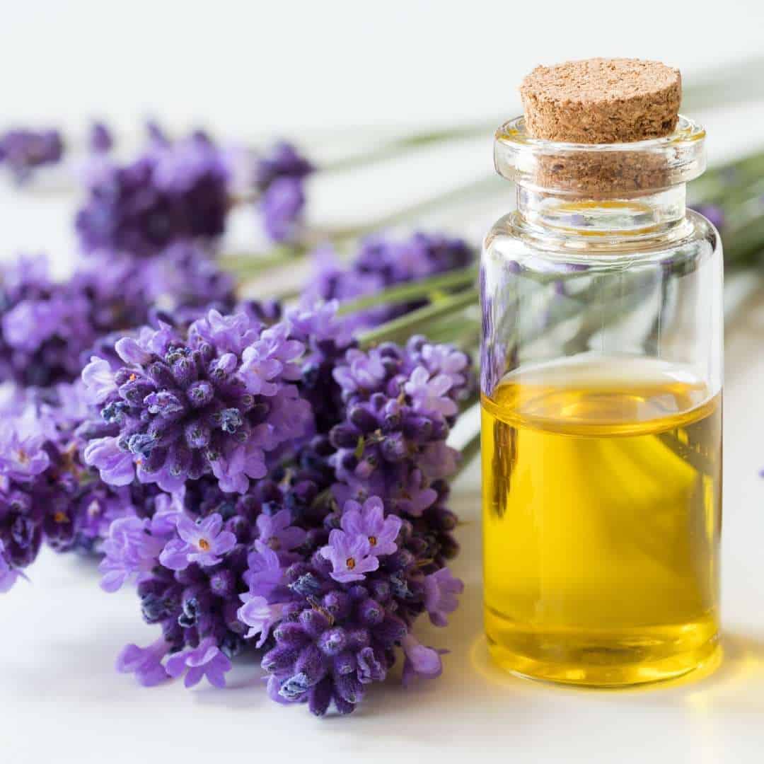 the lavender oil disinfectant derived from nature 