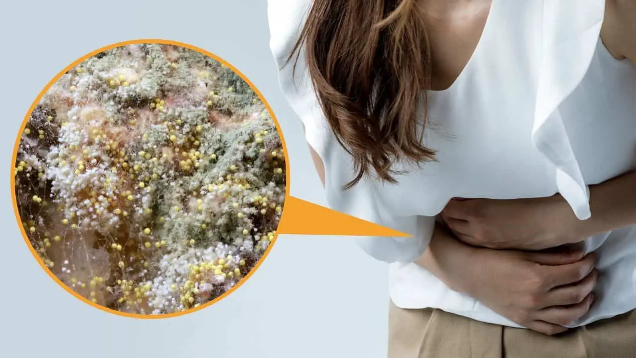 Can Eating Mold Upset Your Stomach