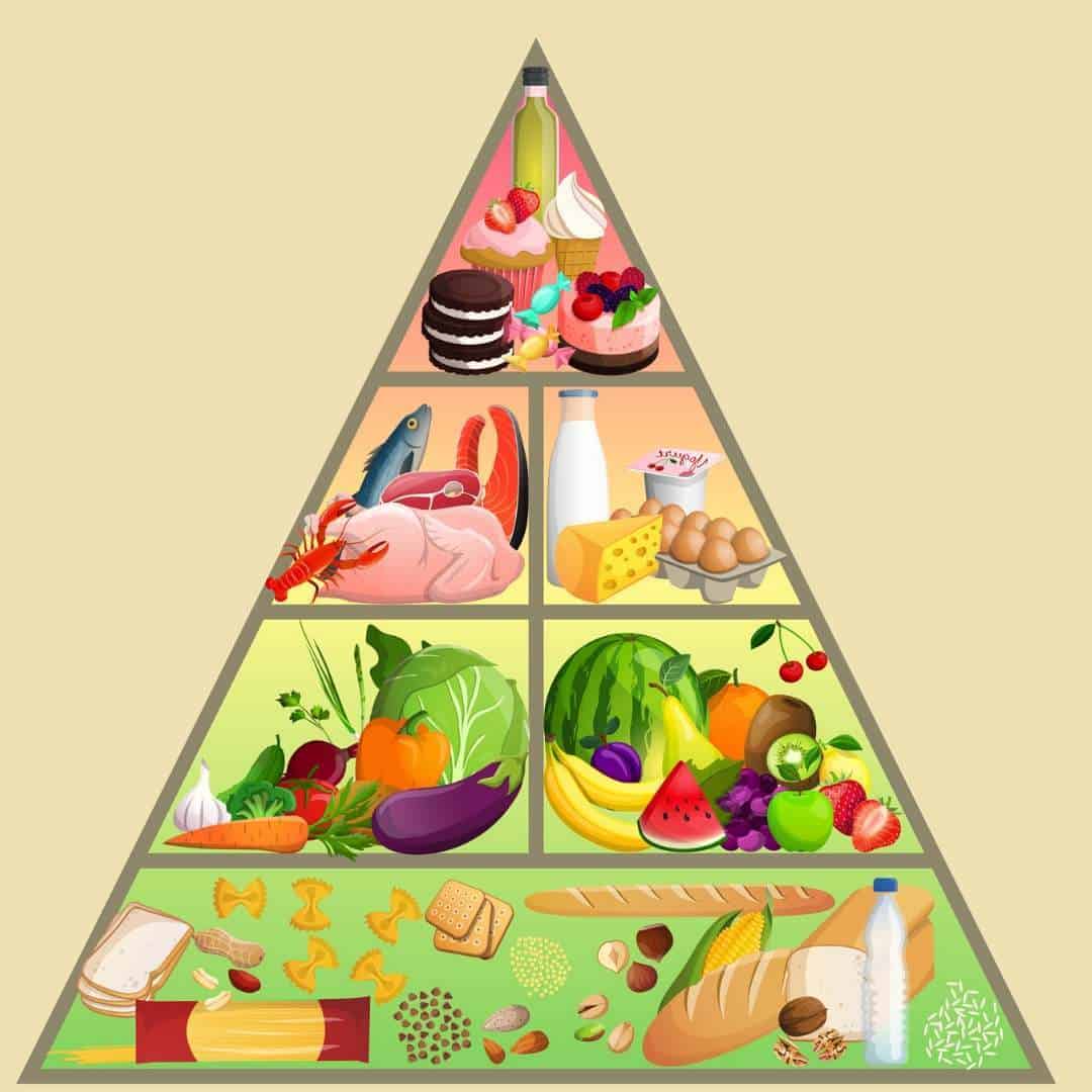 USDA Food Pyramid Chart