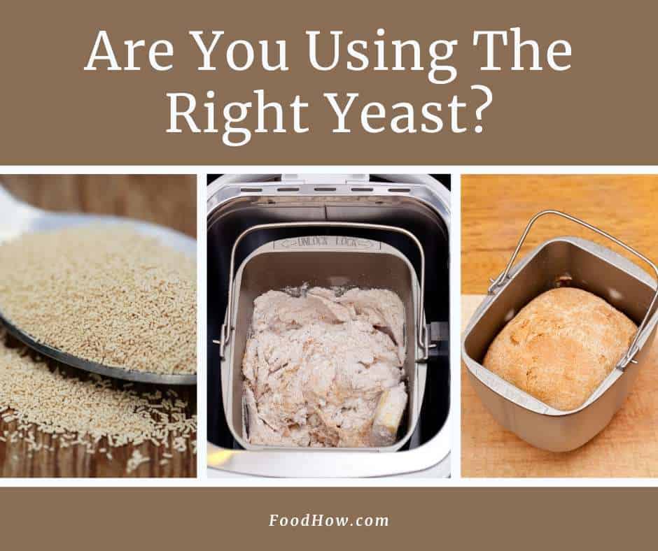 The Best Yeast For Bread Machines - Dry, Fresh Or Rapid-Rise?