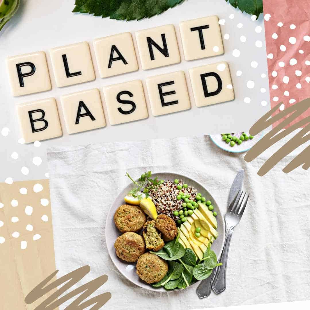 keto diet vs plant based