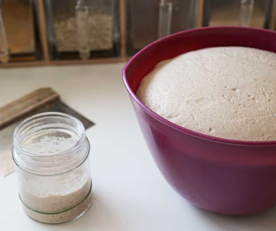 sourdough starter for a bread maker