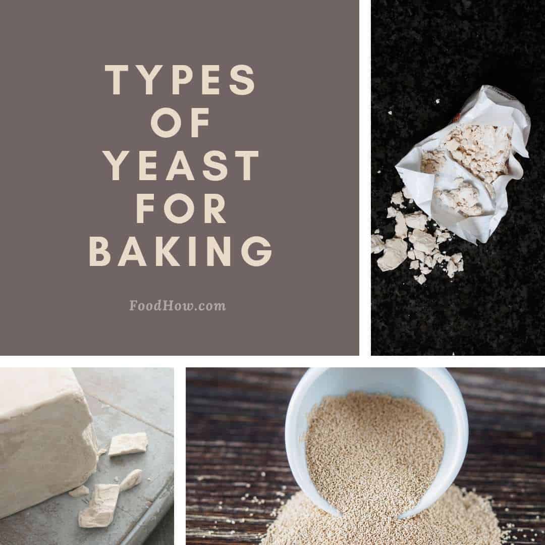 different types of yeast for baking