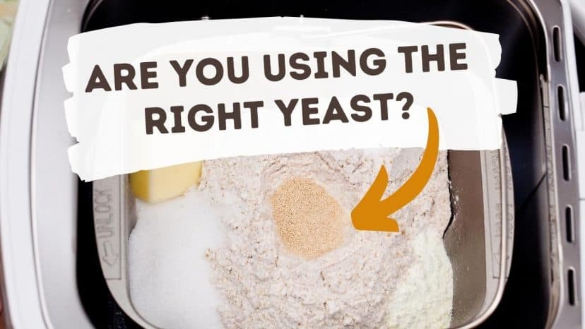 the-best-yeast-for-bread-machines-dry-fresh-or-rapid-rise