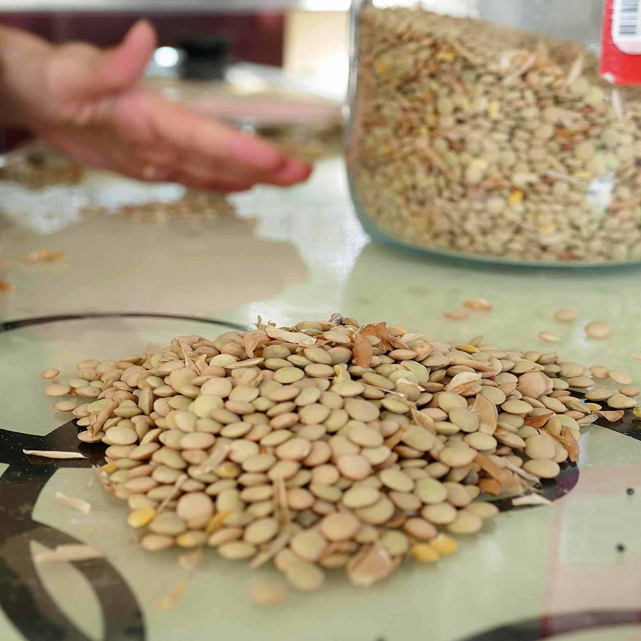 cleaning legumes