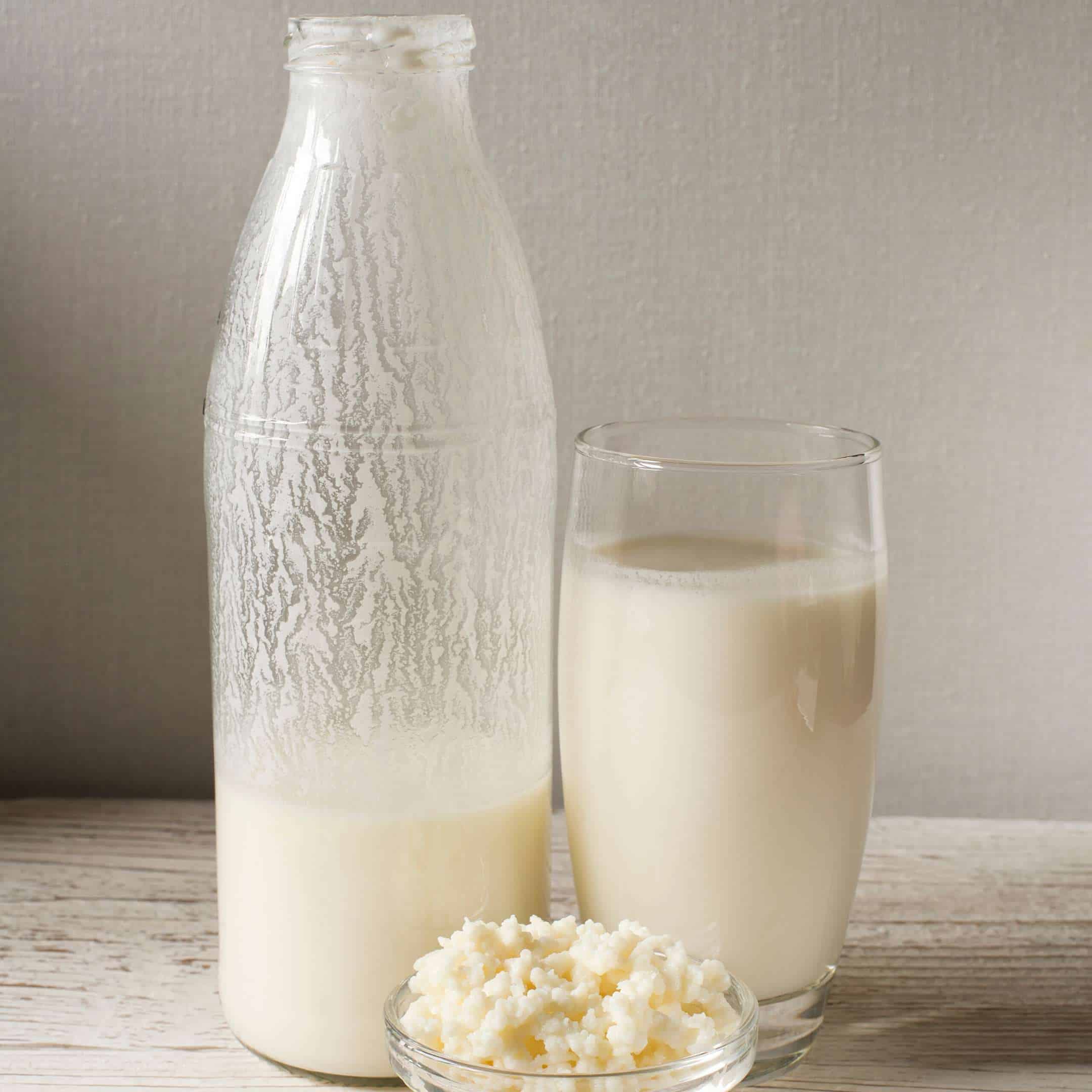 Difference Between Kefir, Soured Milk And Yogurt. Which Is Better?