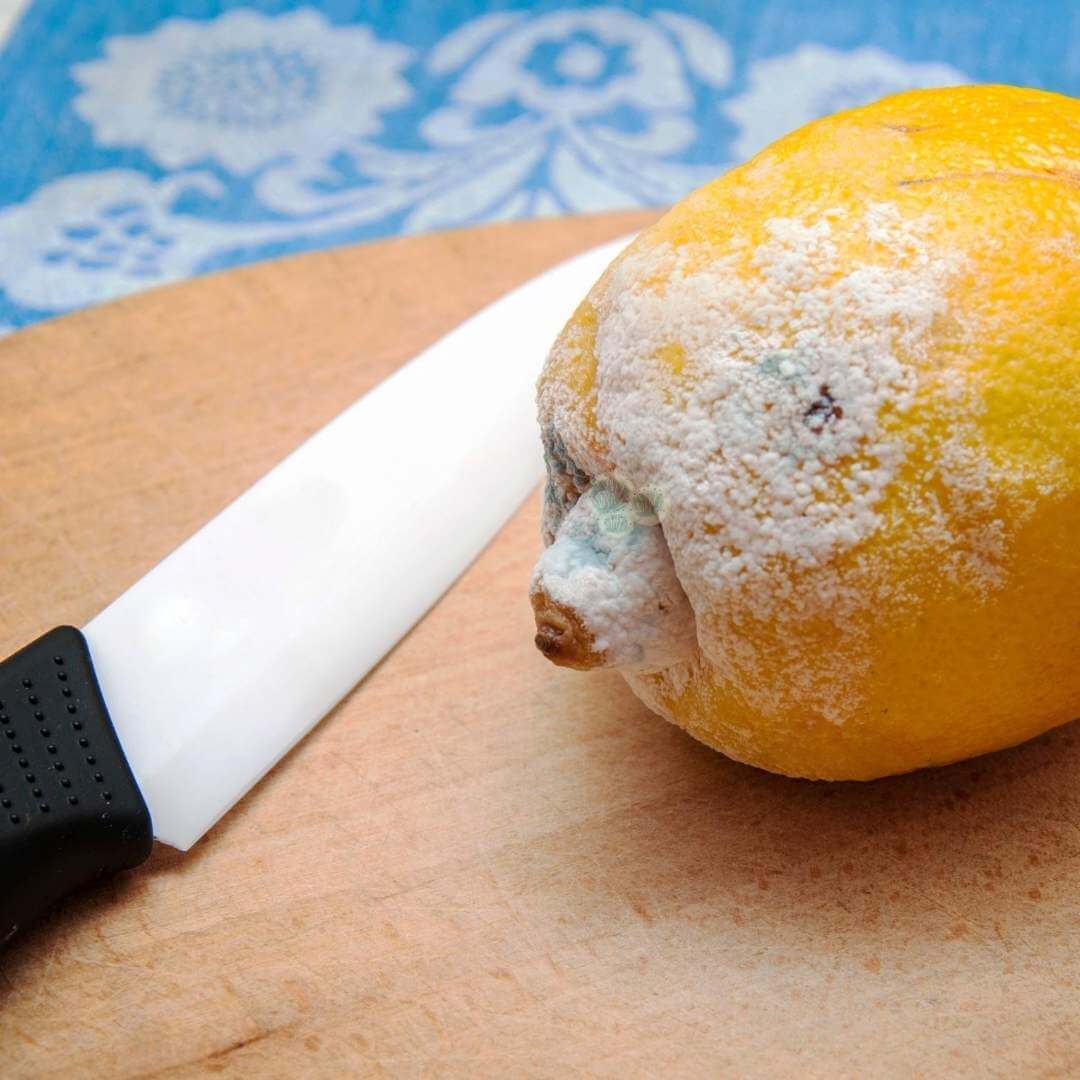 Lemon with some mold on it