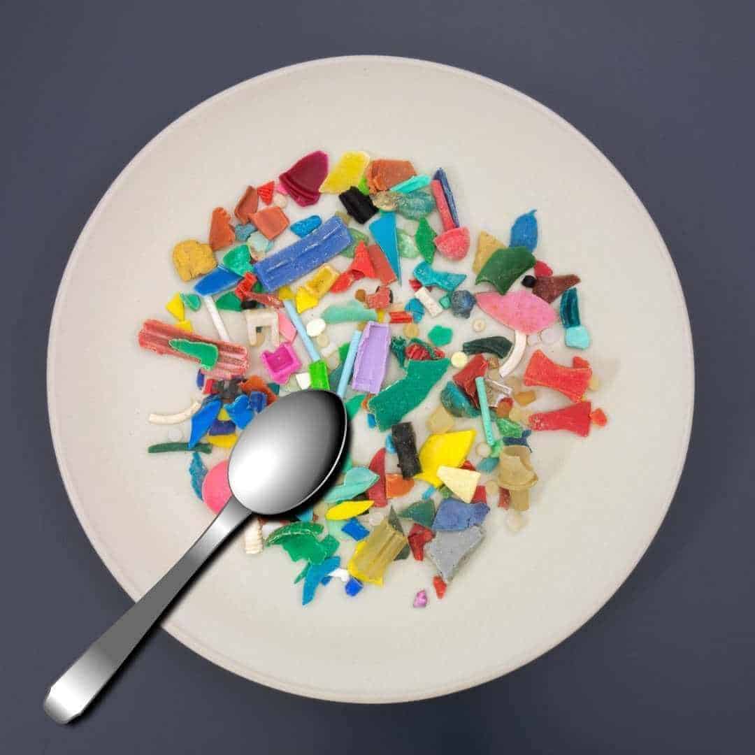 pieces of microplastics on the plate