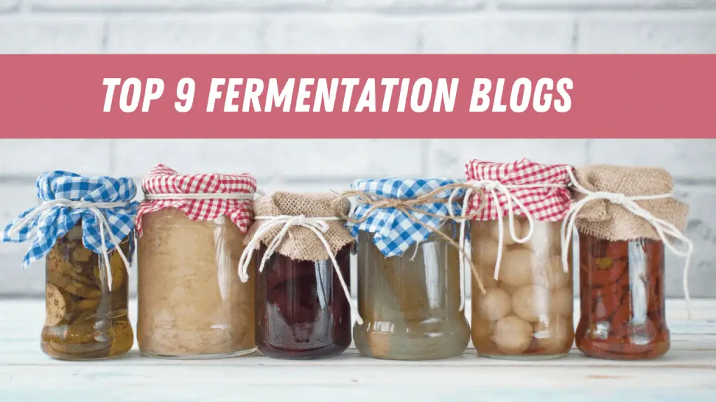 home made fermented foods in the jar