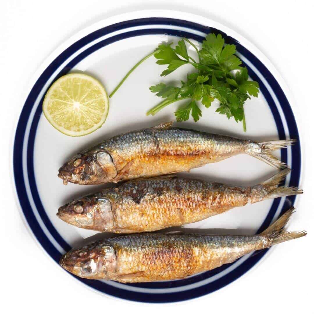 sardines on the plate